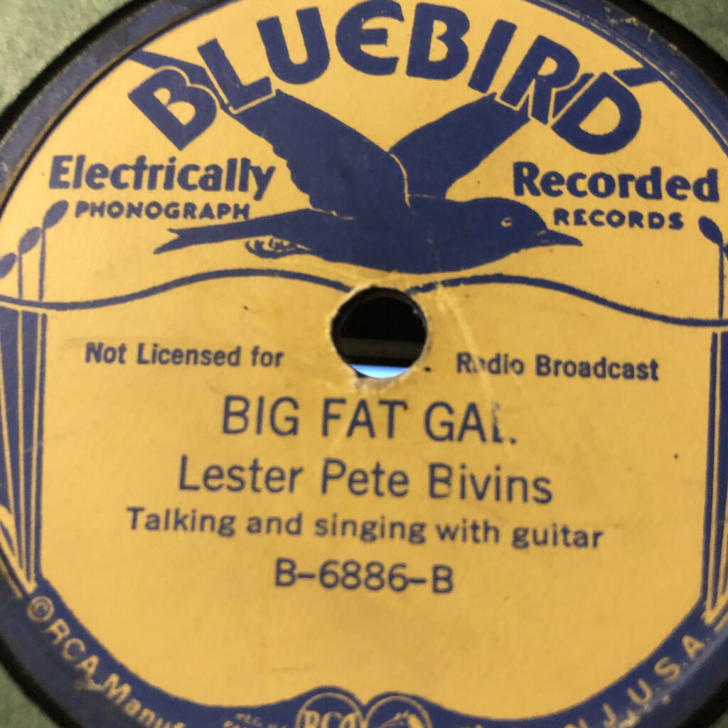 プロモ盤 Wicket Lester Gay With An E レコード